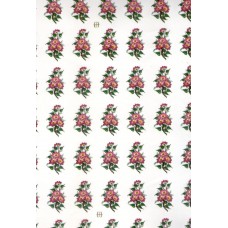 Ref. 79364 - Decalque margarida rosa pequena